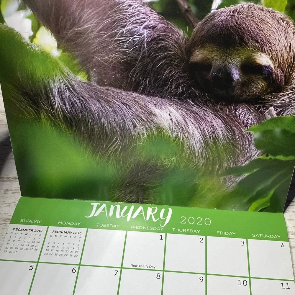 Sloths 2020 Calendar Unused New 7”x7”